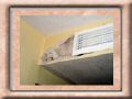 In unserem angeblich renovierten Zimmer